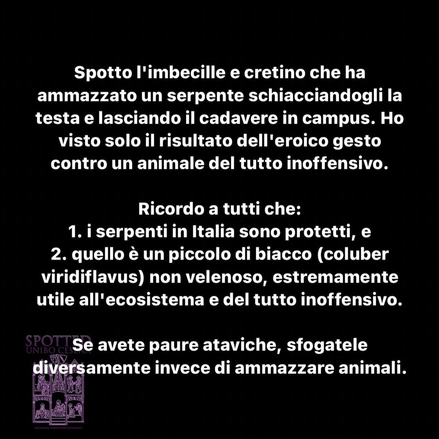 Post di Spotted Cesena del 09/08/2022