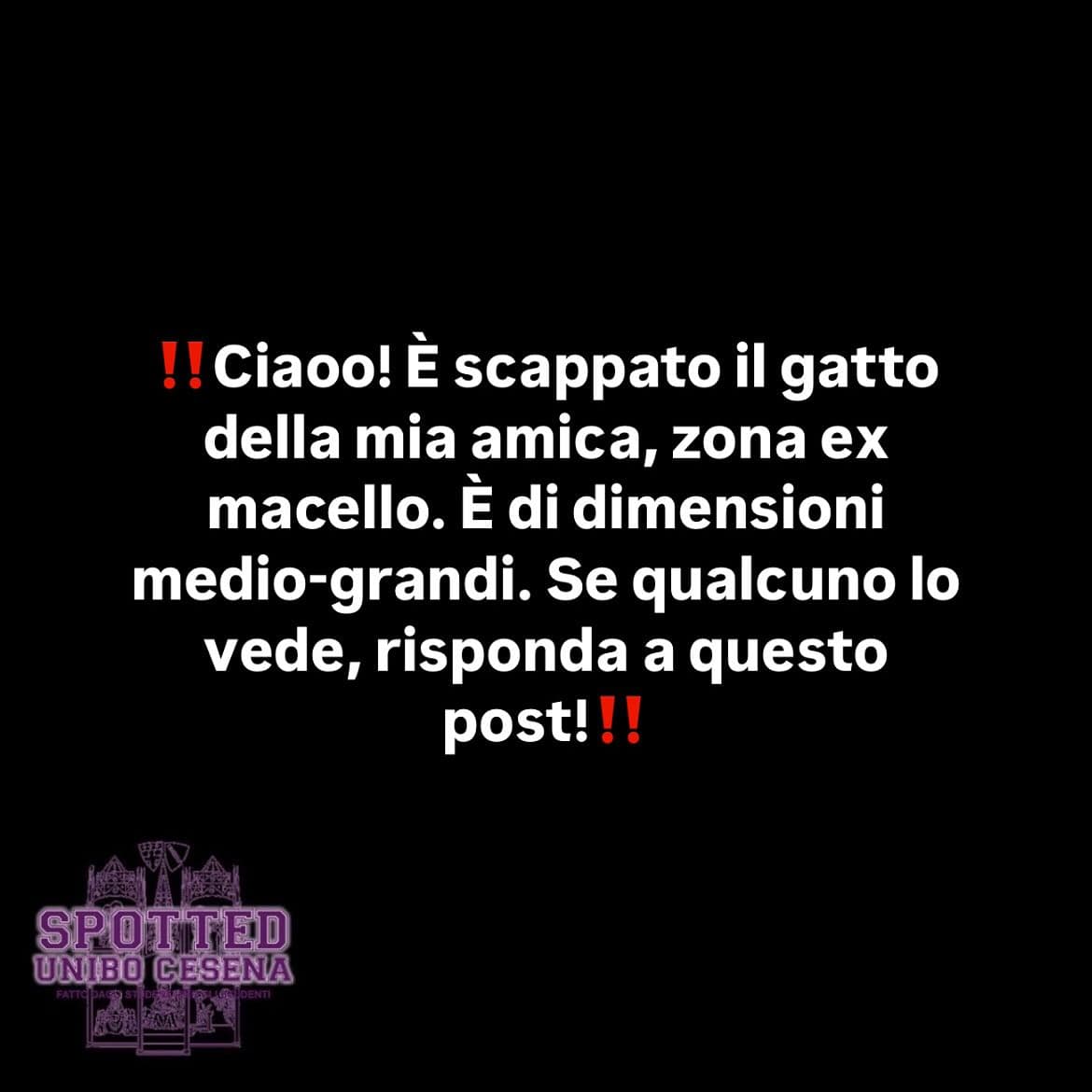 Post: #spotted #Cesena #unibo #cesenaspotted