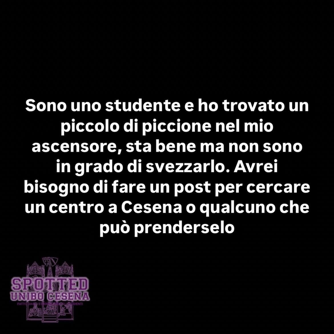 Post: #spotted #Cesena #unibo #cesenaspotted