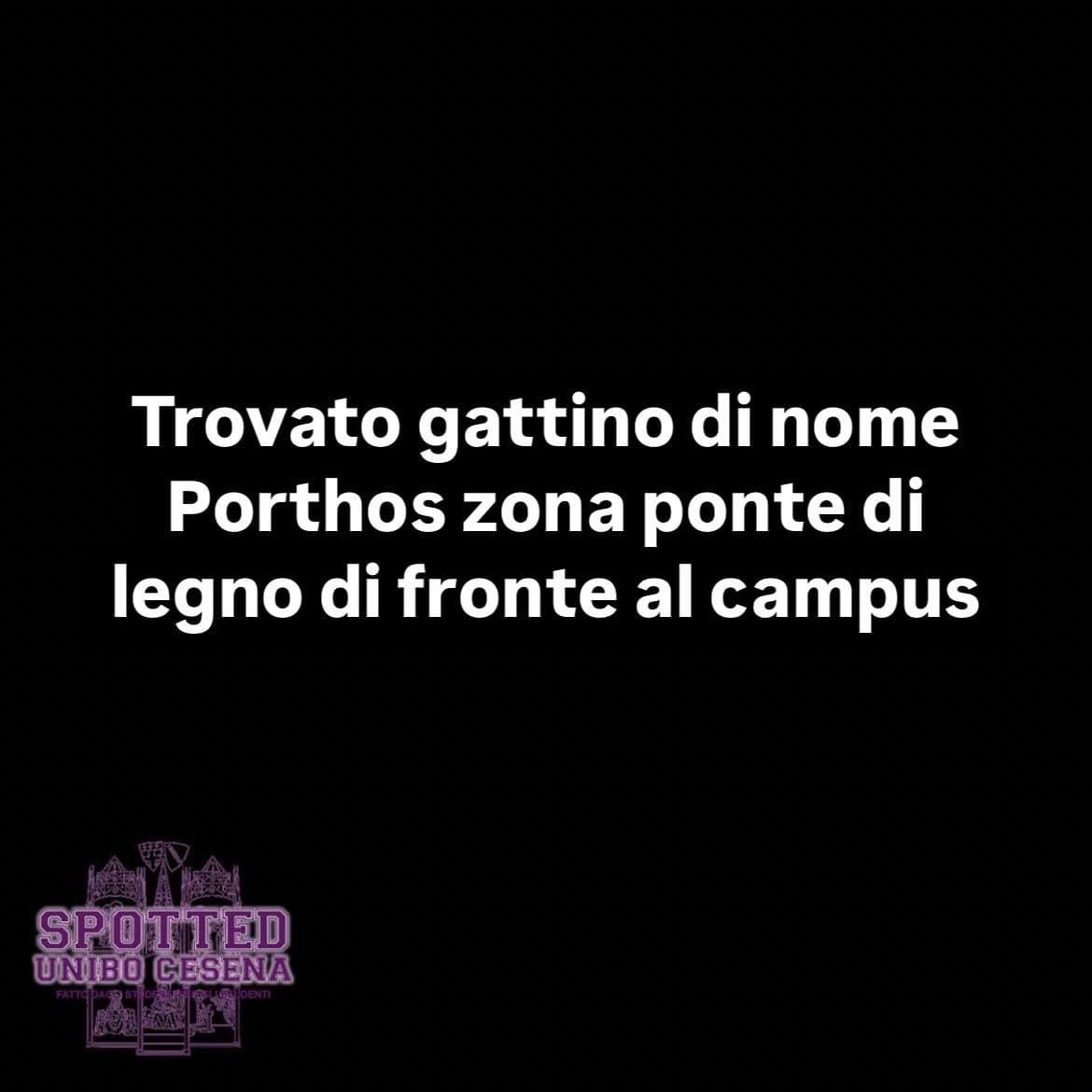 Post: #spotted #Cesena #unibo #cesenaspotted
