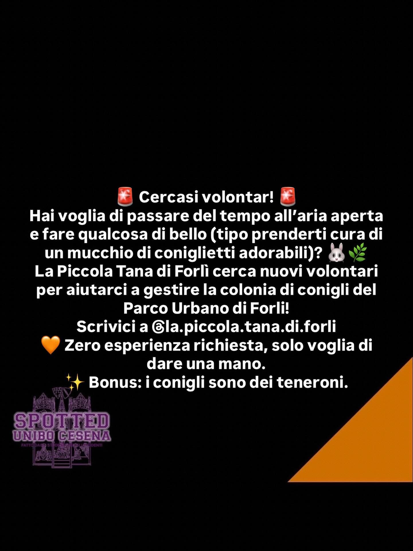 Post: #spotted #Cesena #unibo #cesenaspotted