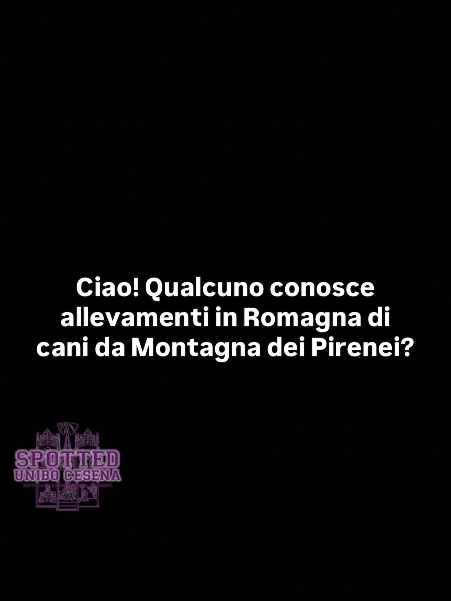 Post: #spotted #Cesena #unibo #cesenaspotted