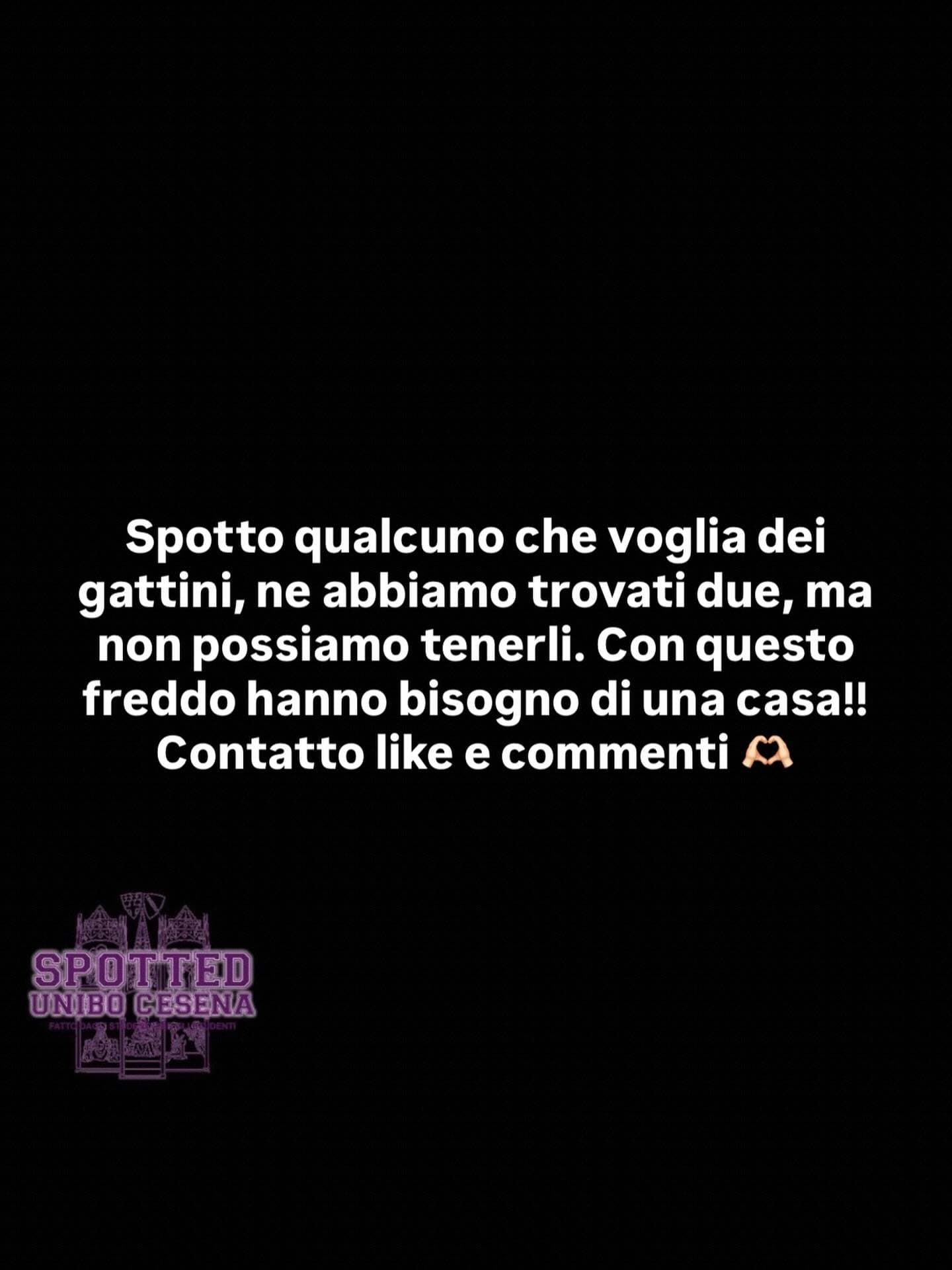 Post: #spotted #Cesena #unibo #cesenaspotted