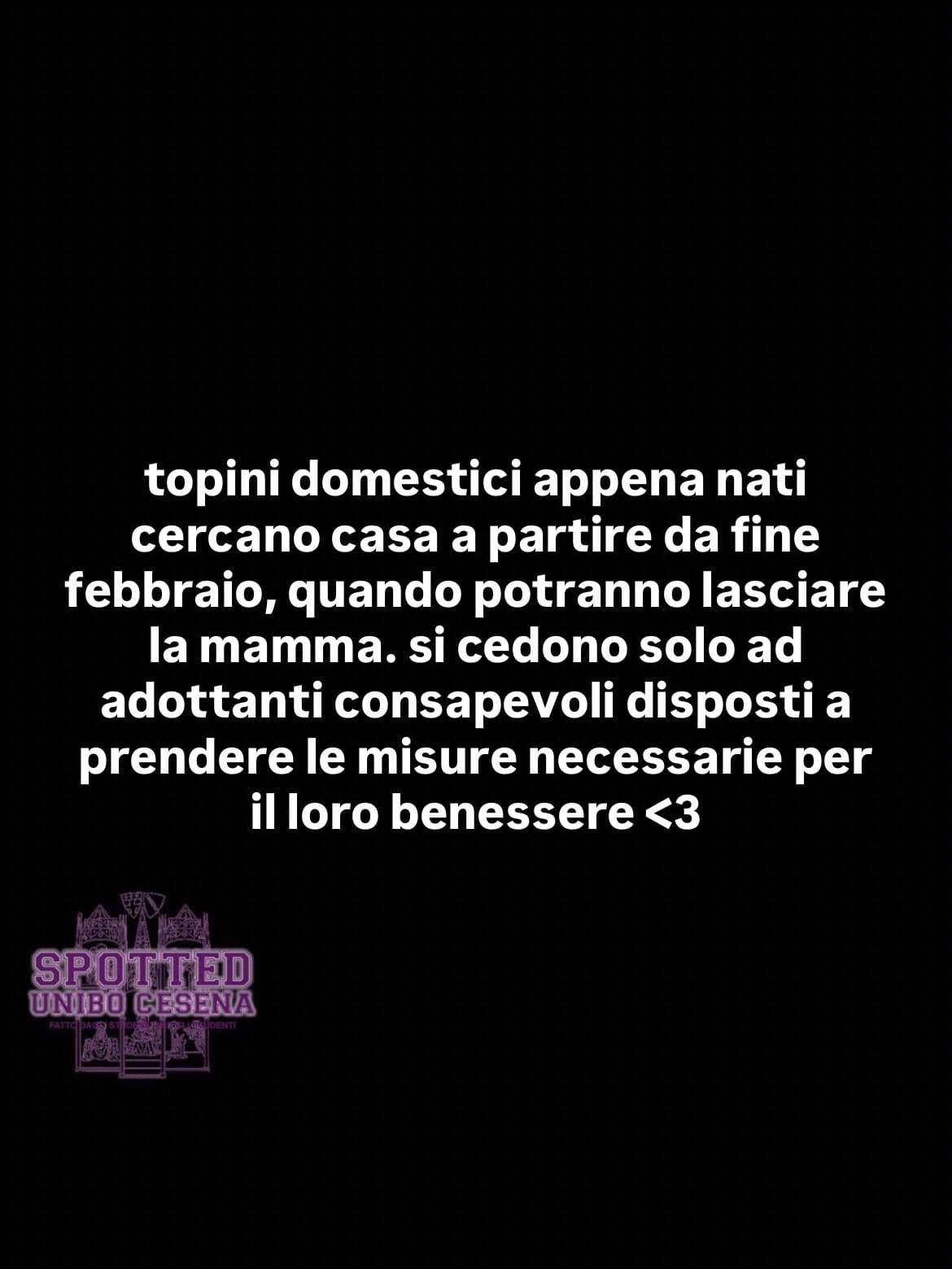 Post: #spotted #Cesena #unibo #cesenaspotted