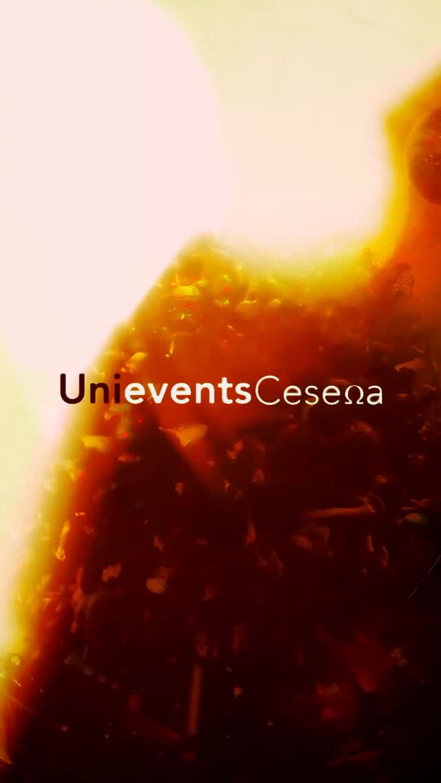 Post: Venerdì è stato molto più di una semplice festa.
È stato un momento che porteremo dentro, fatto di sorrisi, energia, abbracci e quella legge…