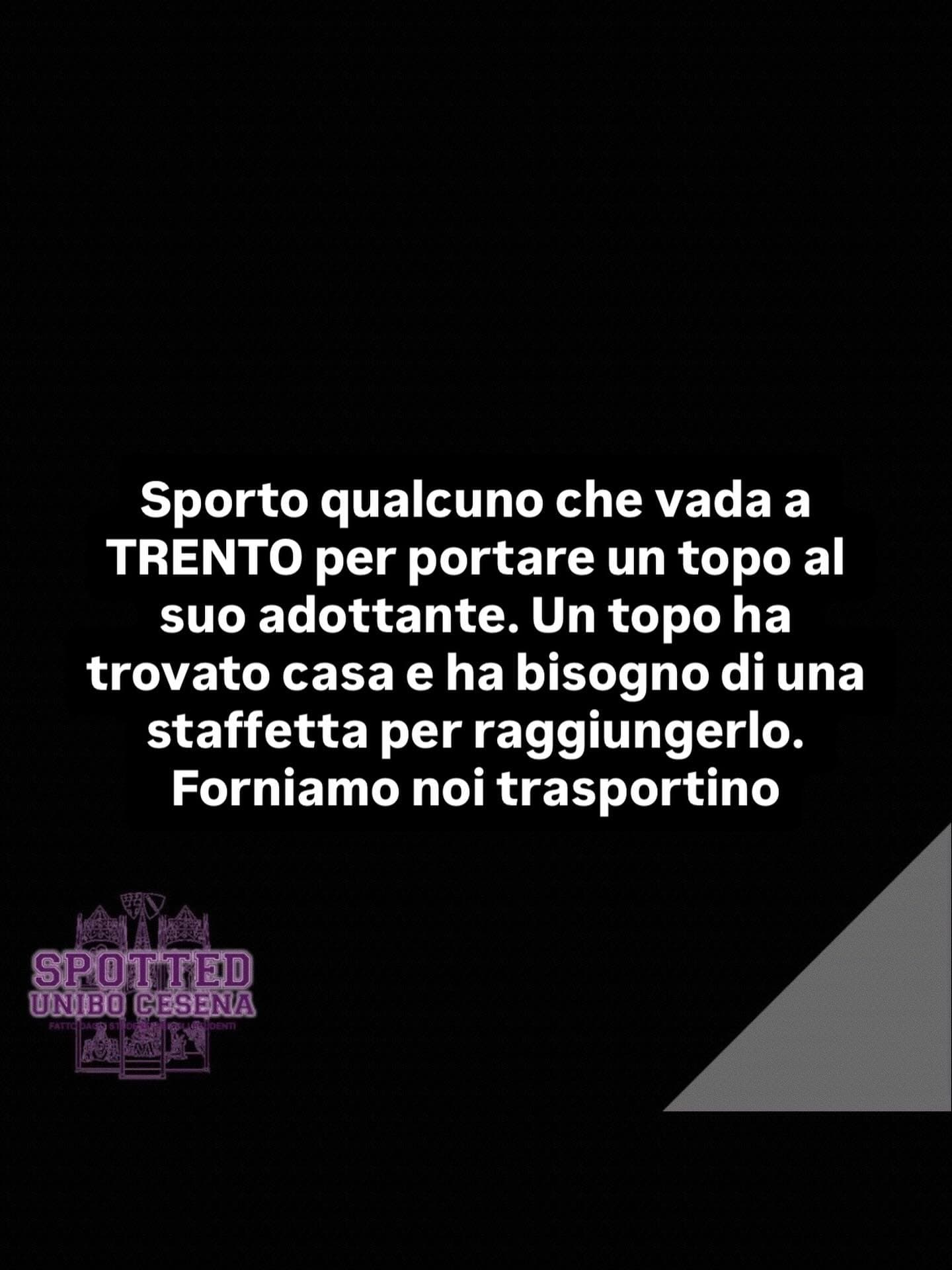 Post: #spotted #Cesena #unibo #cesenaspotted
